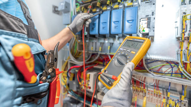 Best Electric Panel Repair  in Loma, CO